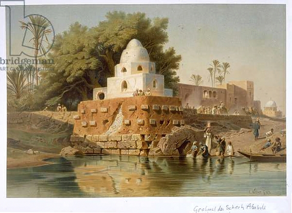 Постер Tomb of Sheikh Ababda in Minya, Middle Egypt, 1871 с типом исполнения На холсте без рамы
