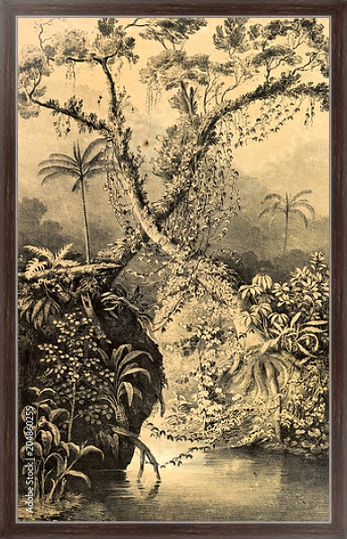 Постер Природа Южной Америки 8 с типом исполнения На холсте в раме в багетной раме 221-02