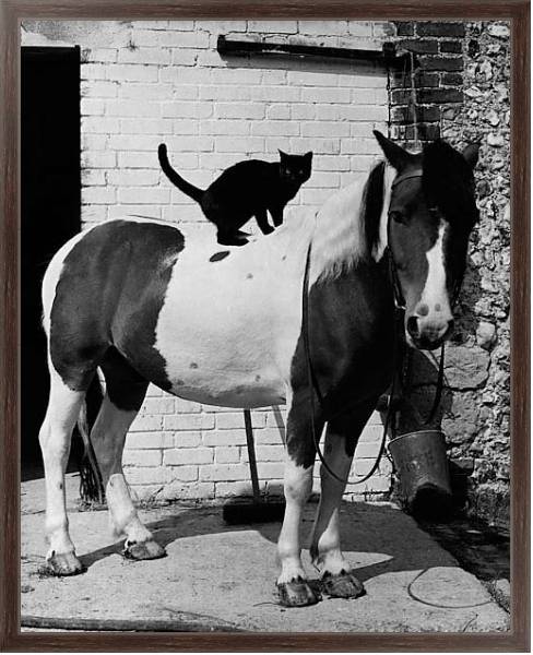 Постер История в черно-белых фото 998 с типом исполнения На холсте в раме в багетной раме 221-02
