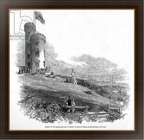 Постер Opening of the Mathew and City of London Temperance Tower, at Mount Patrick, near Cork, 1846 с типом исполнения На холсте в раме в багетной раме 1.023.151