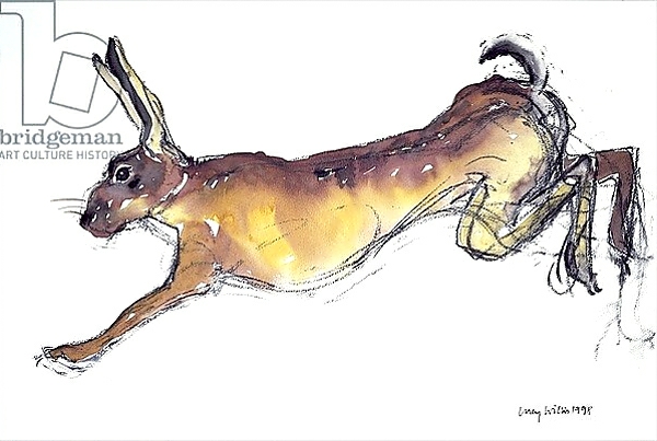 Постер Jumping Hare с типом исполнения На холсте без рамы