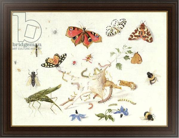 Постер Study of Insects and Flowers с типом исполнения На холсте в раме в багетной раме 1.023.151