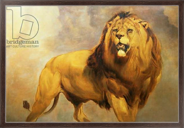 Постер Lion 1 с типом исполнения На холсте в раме в багетной раме 221-02
