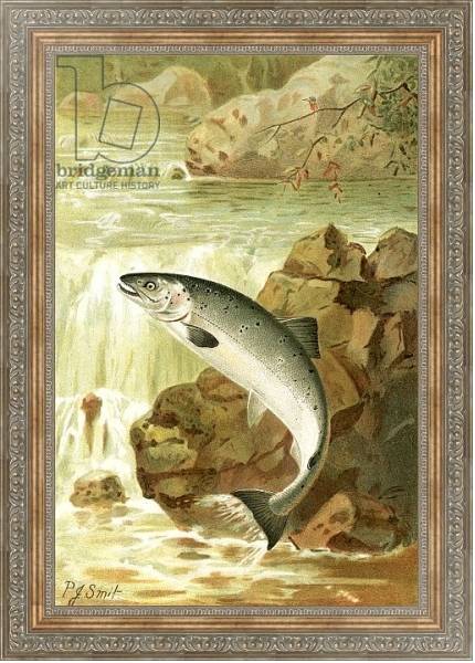 Постер A Salmon leap с типом исполнения На холсте в раме в багетной раме 484.M48.310
