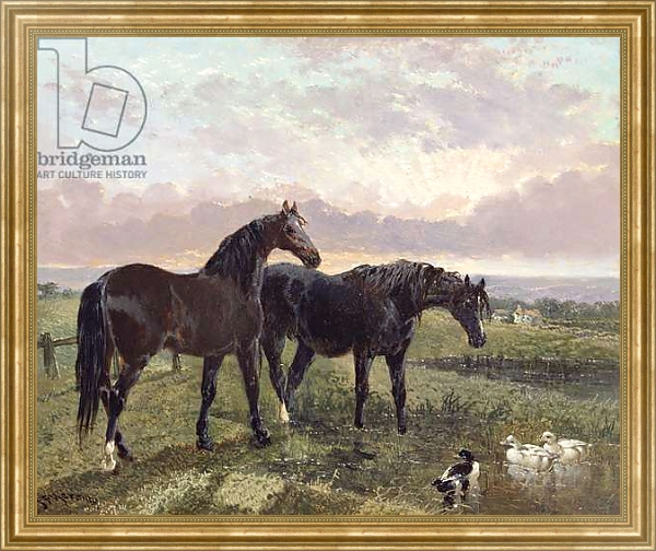 Постер Two horses grazing at sunset с типом исполнения На холсте в раме в багетной раме NA033.1.051