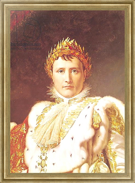 Постер Napoleon I in Coronation Robes, c.1804 с типом исполнения На холсте в раме в багетной раме NA033.1.051