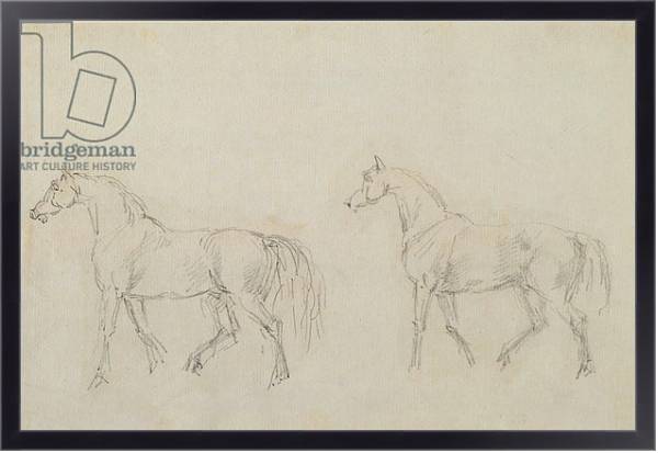 Постер Two horses walking left с типом исполнения На холсте в раме в багетной раме 221-01