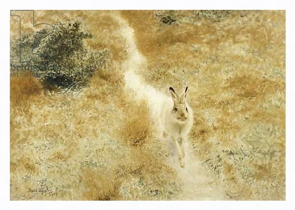 Постер A Winter-Hare in a Landscape, 1909 с типом исполнения На холсте в раме в багетной раме 221-03