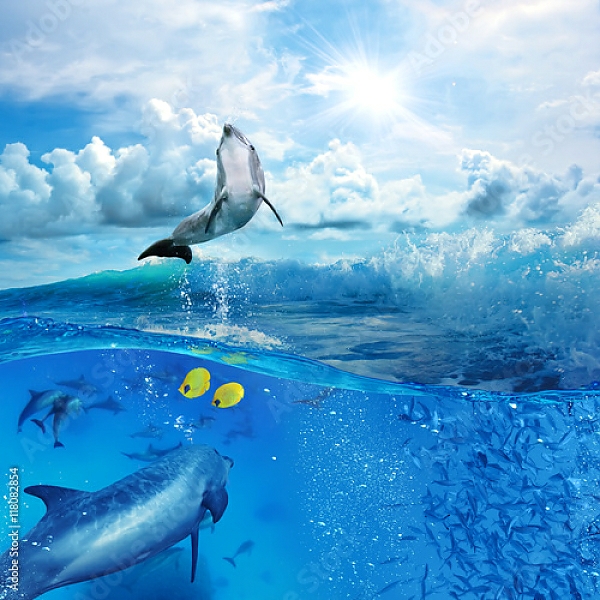 Постер Стая игривых дельфинов, плавающих под водой с типом исполнения На холсте без рамы