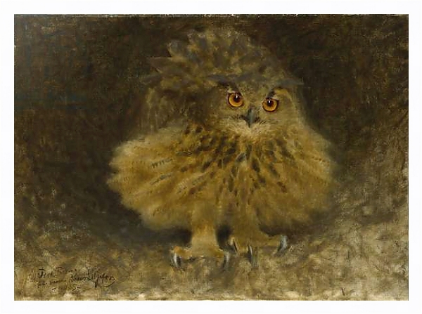 Постер An Eagle Owl, 1905 с типом исполнения На холсте в раме в багетной раме 221-03