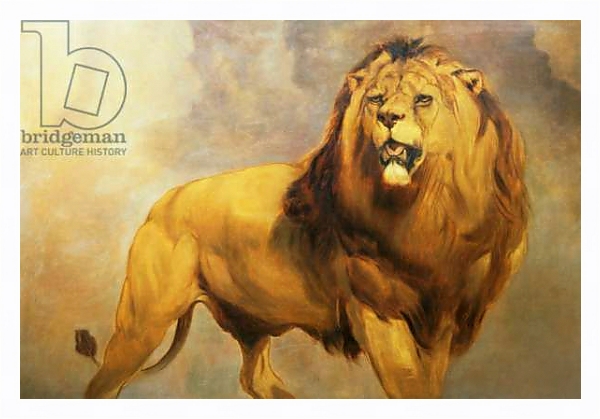 Постер Lion 1 с типом исполнения На холсте в раме в багетной раме 221-03