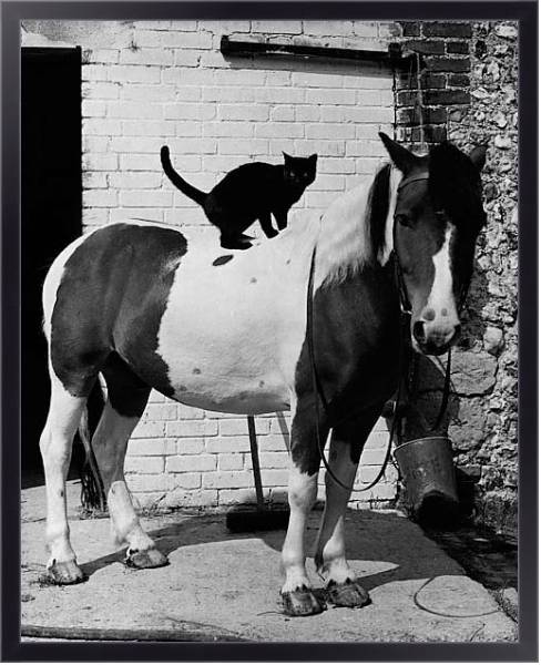 Постер История в черно-белых фото 998 с типом исполнения На холсте в раме в багетной раме 221-01