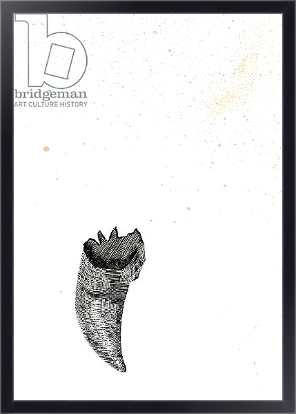 Постер Tooth {Fay-erie Dust}, 2014 с типом исполнения На холсте в раме в багетной раме 221-01