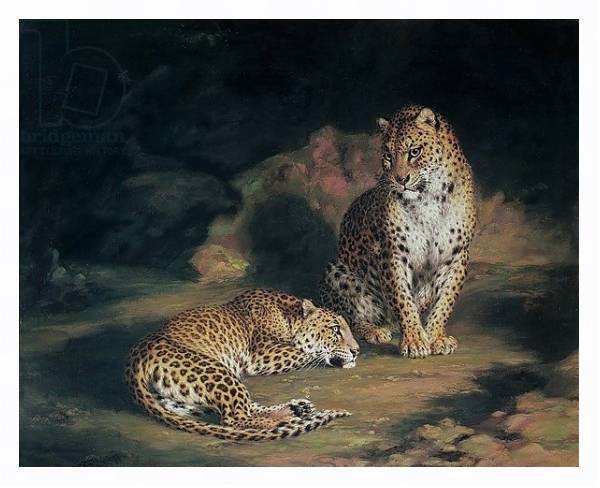 Постер A Pair of Leopards, 1845 с типом исполнения На холсте в раме в багетной раме 221-03