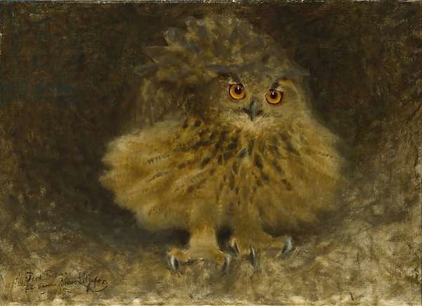 Постер An Eagle Owl, 1905 с типом исполнения На холсте без рамы