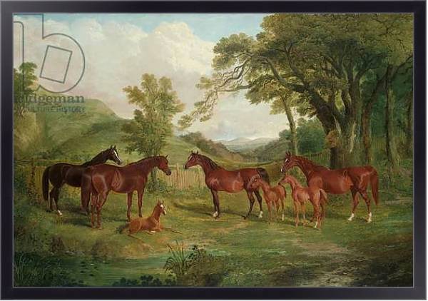 Постер The Streatlam Stud, Mares and Foals, 1836 с типом исполнения На холсте в раме в багетной раме 221-01