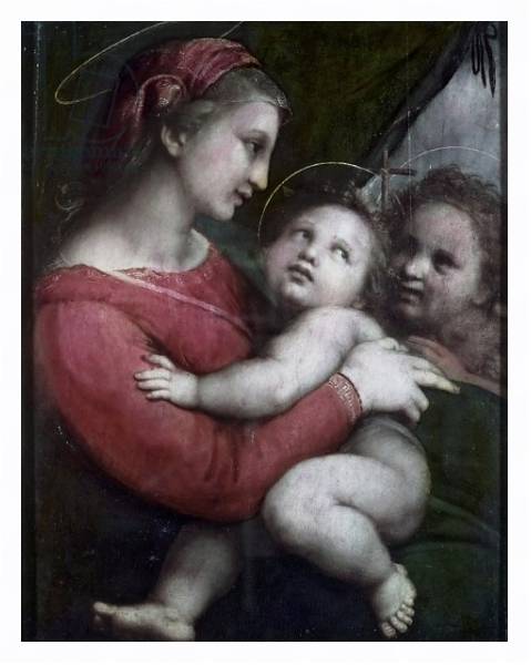 Постер Madonna della Tenda, c.1512 с типом исполнения На холсте в раме в багетной раме 221-03