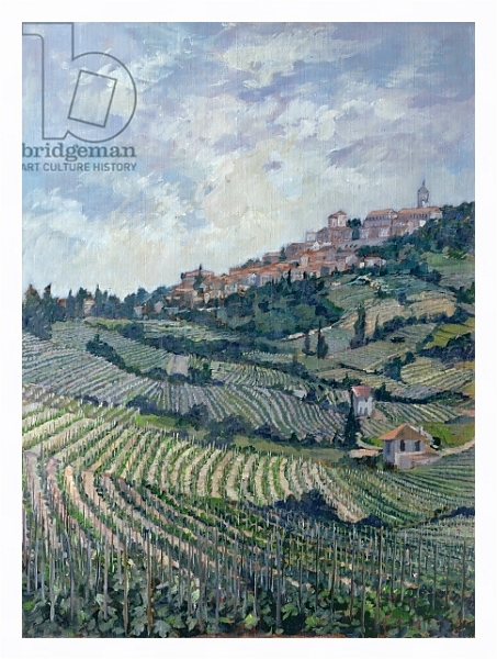 Постер Vineyards, Tuscany с типом исполнения На холсте в раме в багетной раме 221-03