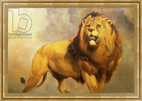 Постер Lion 1 с типом исполнения На холсте в раме в багетной раме NA033.1.051