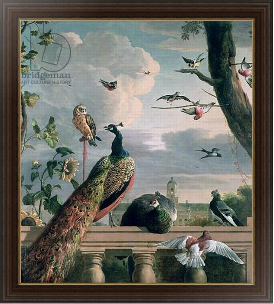 Постер Palace of Amsterdam with Exotic Birds с типом исполнения На холсте в раме в багетной раме 1.023.151