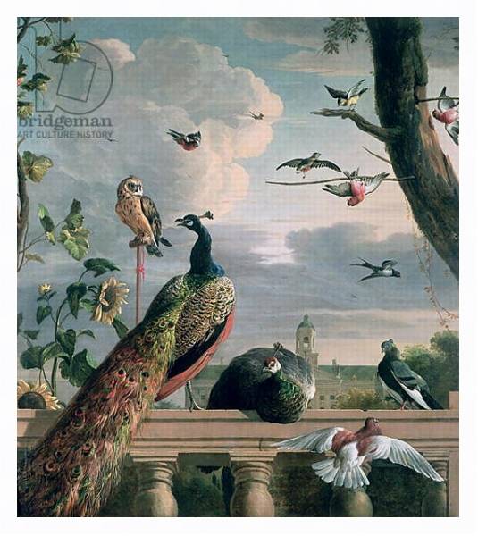 Постер Palace of Amsterdam with Exotic Birds с типом исполнения На холсте в раме в багетной раме 221-03