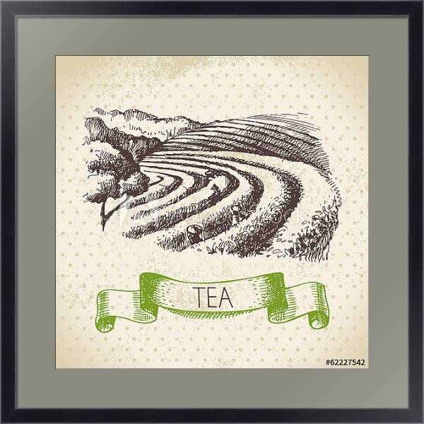 Постер Иллюстрация с чайными плантациями с типом исполнения Под стеклом в багетной раме 221-01