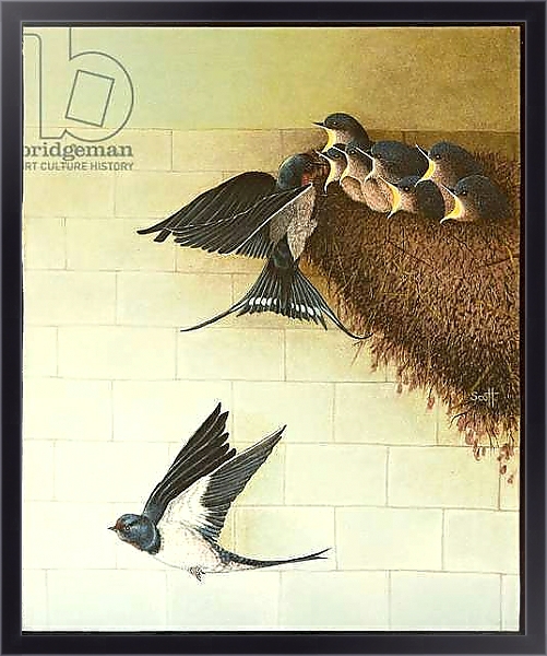 Постер Hungry Mouths, 2011 с типом исполнения На холсте в раме в багетной раме 221-01
