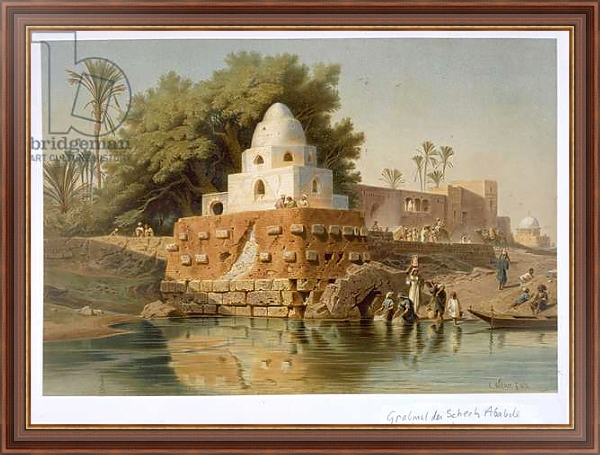 Постер Tomb of Sheikh Ababda in Minya, Middle Egypt, 1871 с типом исполнения На холсте в раме в багетной раме 35-M719P-83