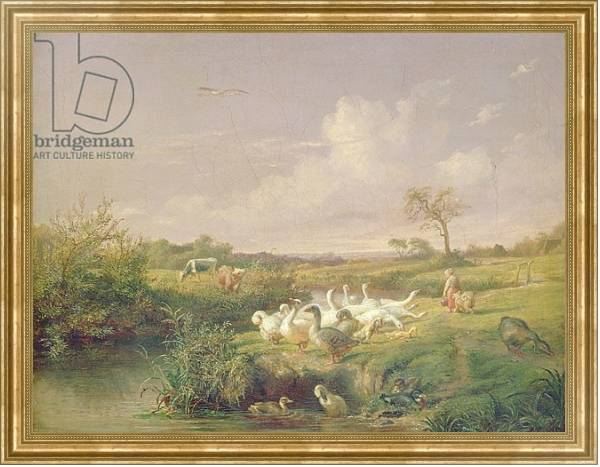 Постер Geese Grazing, 1854 с типом исполнения На холсте в раме в багетной раме NA033.1.051