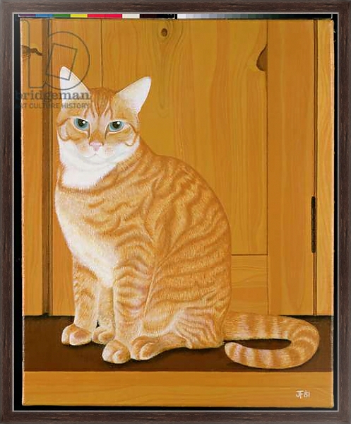 Постер Marmalade cat by a door с типом исполнения На холсте в раме в багетной раме 221-02
