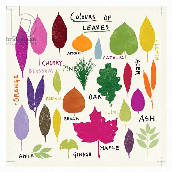 Постер Colours of Leaves с типом исполнения На холсте в раме в багетной раме 221-03