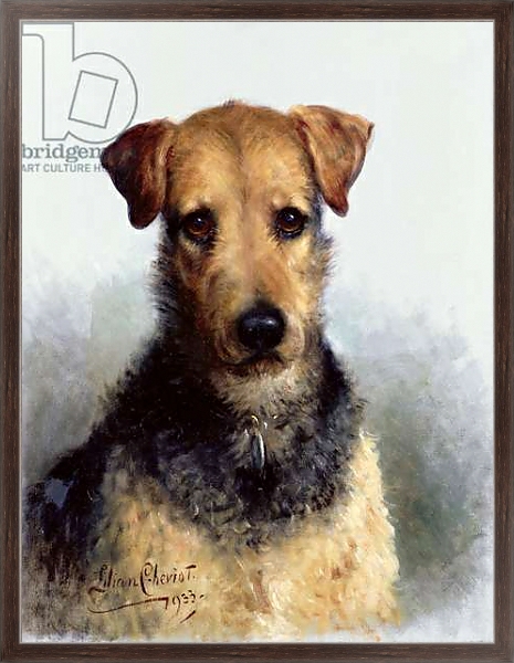 Постер Wire Fox Terrier, 1933 с типом исполнения На холсте в раме в багетной раме 221-02