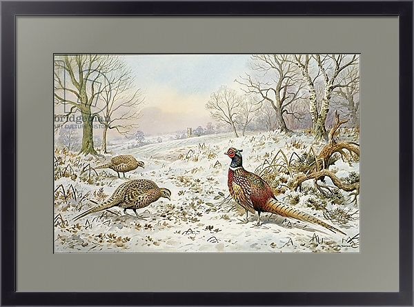 Постер Pheasant and Partridges in a Snowy Landscape с типом исполнения Под стеклом в багетной раме 221-01