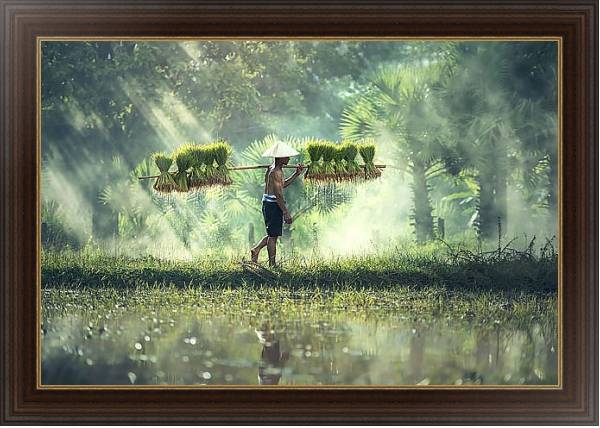 Постер Вьетнамский сборщик урожая с типом исполнения На холсте в раме в багетной раме 1.023.151