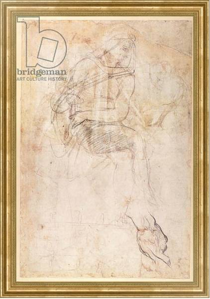 Постер Study for the Ignudi above the Persian Sibyl in the Sistine Chapel, 1508-12 с типом исполнения На холсте в раме в багетной раме NA033.1.051