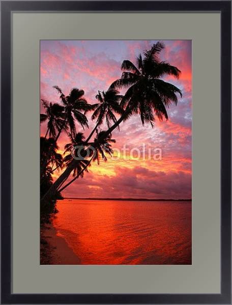 Постер Силуэт пальмовых деревьев на пляже на закате, острова Офу, Тонга с типом исполнения Под стеклом в багетной раме 221-01
