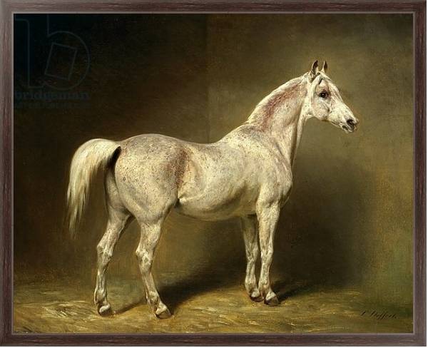 Постер 'Beatrice', the white arab saddlehorse of Helmuth Graf von Moltke, 1855 с типом исполнения На холсте в раме в багетной раме 221-02