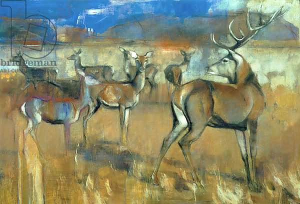 Постер Gathering Deer, 1998 с типом исполнения На холсте без рамы