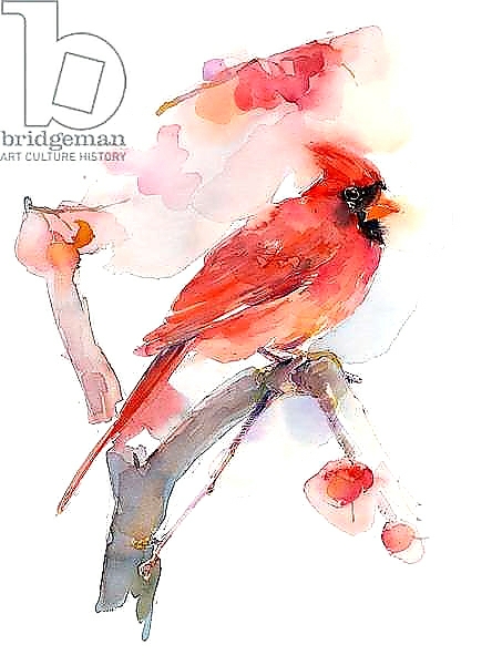 Постер Red cardinal, 2016, с типом исполнения На холсте без рамы