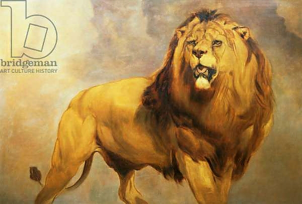 Постер Lion 1 с типом исполнения На холсте без рамы