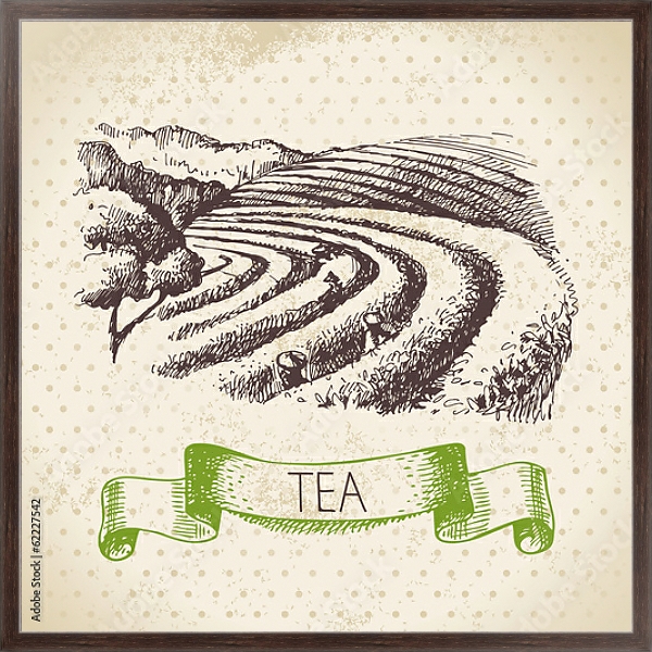 Постер Иллюстрация с чайными плантациями с типом исполнения На холсте в раме в багетной раме 221-02