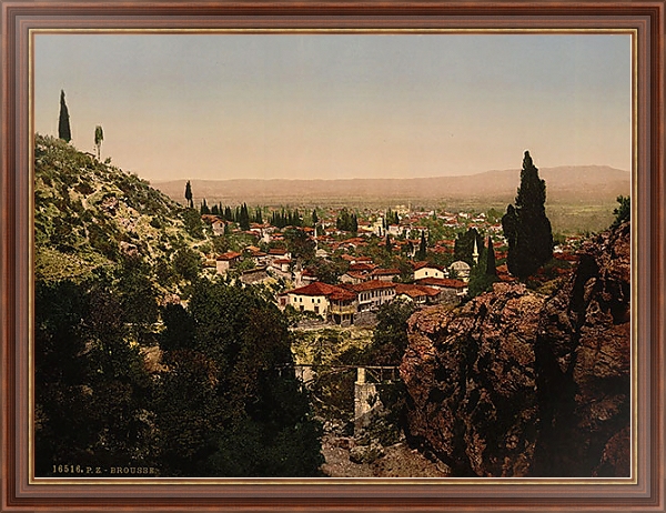 Постер Турция. Город Бурса с типом исполнения На холсте в раме в багетной раме 35-M719P-83