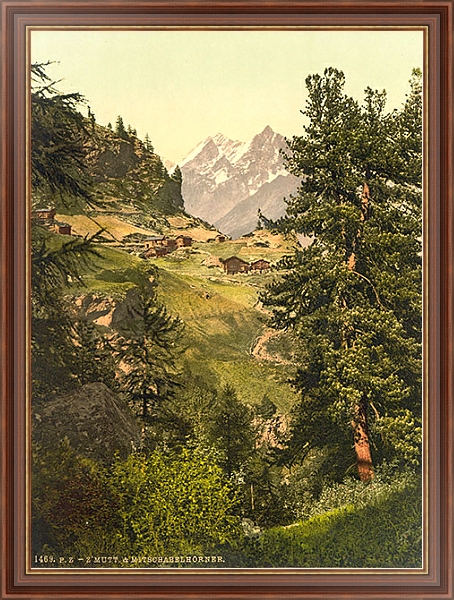 Постер Швейцария. Долина в Альпах с типом исполнения На холсте в раме в багетной раме 35-M719P-83