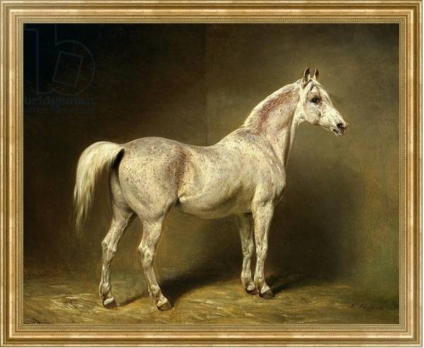 Постер 'Beatrice', the white arab saddlehorse of Helmuth Graf von Moltke, 1855 с типом исполнения На холсте в раме в багетной раме NA033.1.051