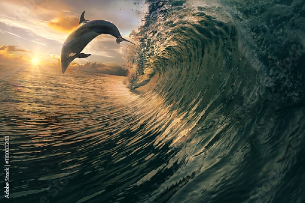 Постер Дельфин над волной с типом исполнения На холсте без рамы