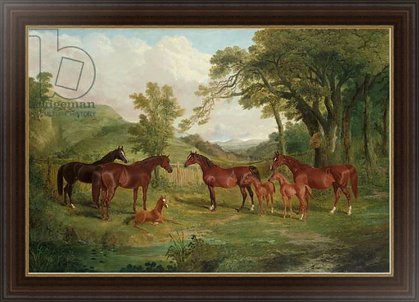 Постер The Streatlam Stud, Mares and Foals, 1836 с типом исполнения На холсте в раме в багетной раме 1.023.151