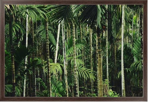 Постер Тропический бамбуковый лес с типом исполнения На холсте в раме в багетной раме 221-02