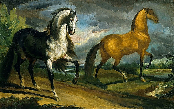 Постер Две лошади с типом исполнения На холсте без рамы