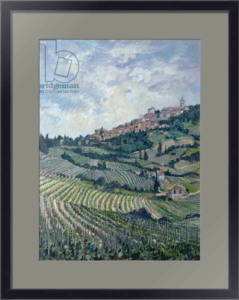 Постер Vineyards, Tuscany с типом исполнения Под стеклом в багетной раме 221-01