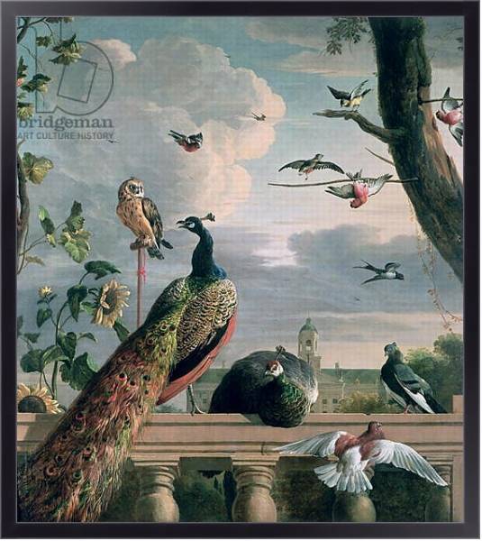 Постер Palace of Amsterdam with Exotic Birds с типом исполнения На холсте в раме в багетной раме 221-01